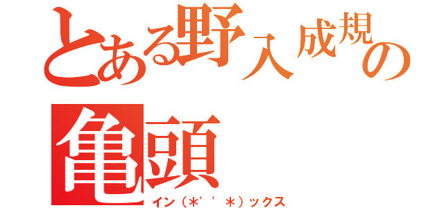 とある野入成規の亀頭（イン（＊\'\'＊）ックス）