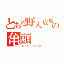 とある野入成規の亀頭（イン（＊\'\'＊）ックス）