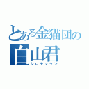 とある金猫団の白山君（シロヤマクン）