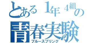 とある１年４組の青春実験（ブルースプリング）