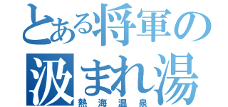 とある将軍の汲まれ湯（熱海温泉）