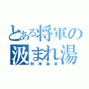 とある将軍の汲まれ湯（熱海温泉）