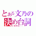 とある文乃の決め台詞（２回死ね！！）