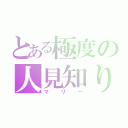 とある極度の人見知り（マリー）