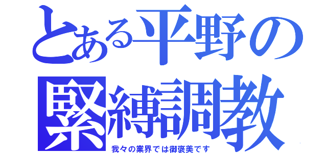 とある平野の緊縛調教（我々の業界では御褒美です）