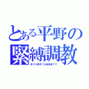 とある平野の緊縛調教（我々の業界では御褒美です）