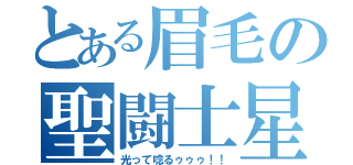 とある眉毛の聖闘士星矢（光って唸るゥゥゥ！！）