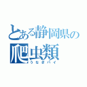 とある静岡県の爬虫類（うなぎパイ）