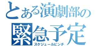 とある演劇部の緊急予定（スケジュールピンチ）