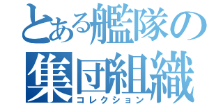 とある艦隊の集団組織（コレクション）