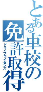 とある車校の免許取得（ドライブライセンス）