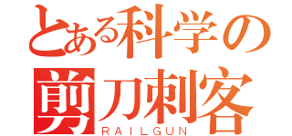 とある科学の剪刀刺客（ＲＡＩＬＧＵＮ）