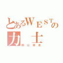 とあるＷＥＳＴの力 士（桐山照史）