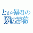 とある暴君の魔法薔薇（まどかは私が犯る！）