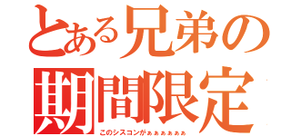 とある兄弟の期間限定（このシスコンがぁぁぁぁぁぁ）