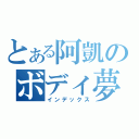 とある阿凱のボディ夢想（インデックス）