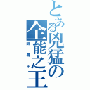 とある兇猛の全能之王（帥哥王）