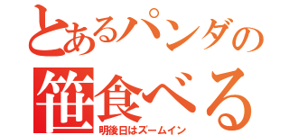 とあるパンダの笹食べる（明後日はズームイン）