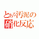 とある汚泥の硝化反応（）