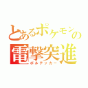 とあるポケモンの電撃突進（ボルテッカー）