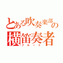 とある吹奏楽部の横笛奏者（フルート）