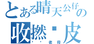 とある晴天公仔の收撚柒皮（屌你老母）