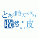 とある晴天公仔の收撚柒皮（屌你老母）