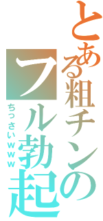 とある粗チンのフル勃起Ⅱ（ちっさいｗｗｗ）