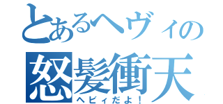 とあるヘヴィの怒髪衝天（ヘビィだよ！）