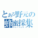 とある野元の蜂蜜採集（ハニーハント）