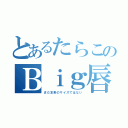 とあるたらこのＢｉｇ唇（まだ本来のサイズではない）