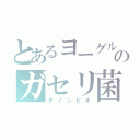 とあるヨーグルトのガセリ菌（ダノンビオ）