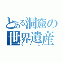 とある洞窟の世界遺産（うんこ）