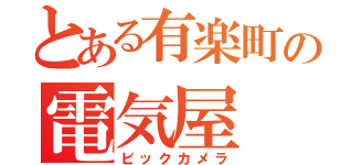 とある有楽町の電気屋（ビックカメラ）