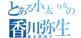 とある小太り女子の香川弥生（走る肉団子）