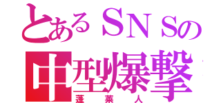 とあるＳＮＳの中型爆撃機（蓬莱人）