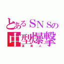 とあるＳＮＳの中型爆撃機（蓬莱人）