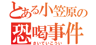 とある小笠原の恐喝事件（さいていこうい）