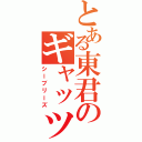 とある東君のギャッツビー（シーブリーズ）