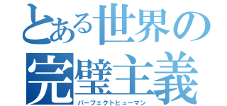 とある世界の完璧主義者（パーフェクトヒューマン）