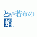 とある若布の蛸（け）