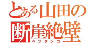 とある山田の断崖絶壁（ペッタンコ）