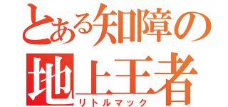 とある知障の地上王者（リトルマック）