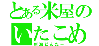 とある米屋のいたこめ（新潟どんだー）