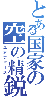 とある国家の空の精鋭（エアフォース）