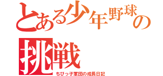 とある少年野球チームの挑戦（ちびっ子軍団の成長日記）