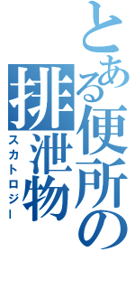 とある便所の排泄物（スカトロジー）