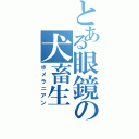 とある眼鏡の犬畜生（ポメラニアン）