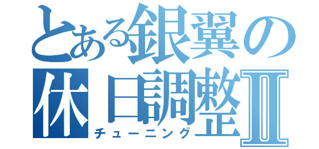 とある銀翼の休日調整Ⅱ（チューニング）