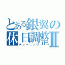 とある銀翼の休日調整Ⅱ（チューニング）